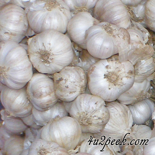 benefits of eating garlic
